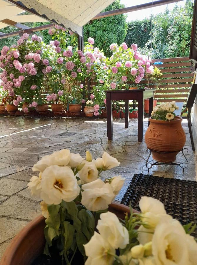Eleni Studios Agios Ioannis  Ngoại thất bức ảnh