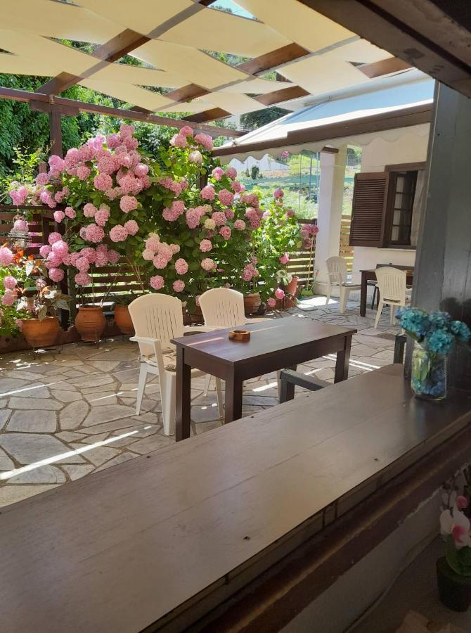 Eleni Studios Agios Ioannis  Ngoại thất bức ảnh