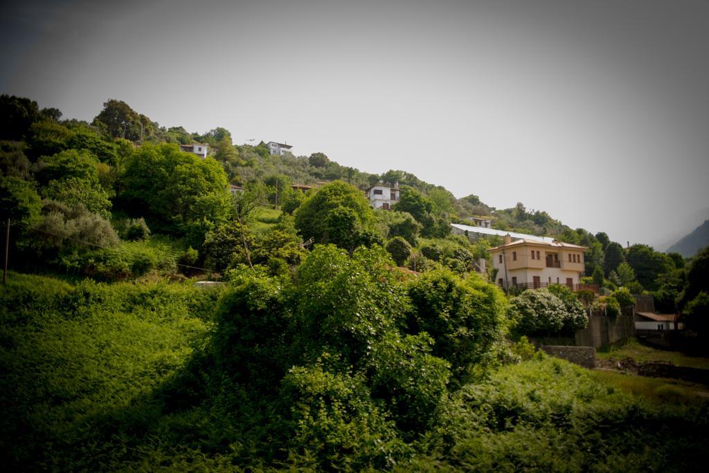Eleni Studios Agios Ioannis  Ngoại thất bức ảnh